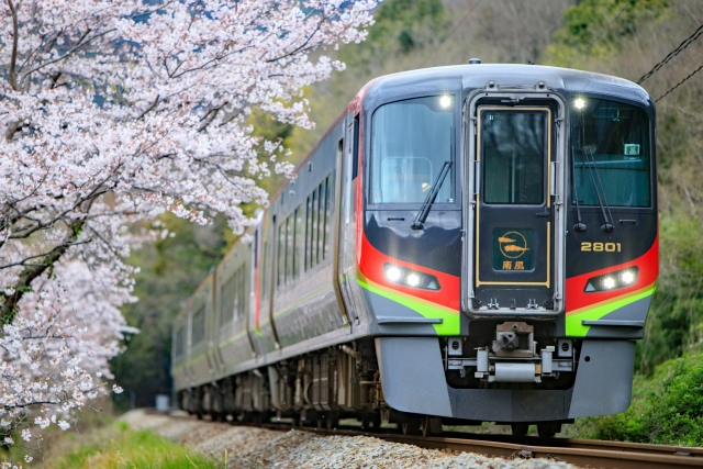 春の桜と土讃線のコントラストが見事