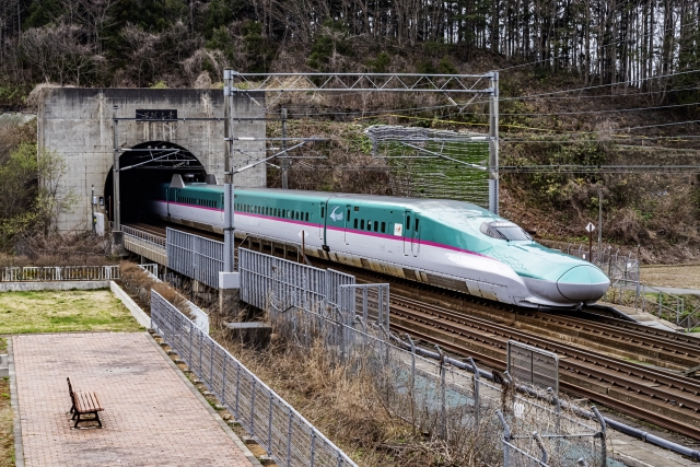 北海道新幹線オプション券とは？