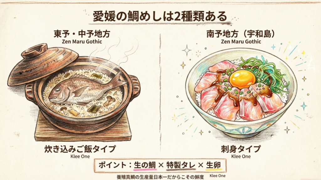 宇和島鯛めしは刺身とタレと生卵が特徴 愛媛県の鯛めし比較イラスト。炊き込みタイプと宇和島の刺身タイプの違い