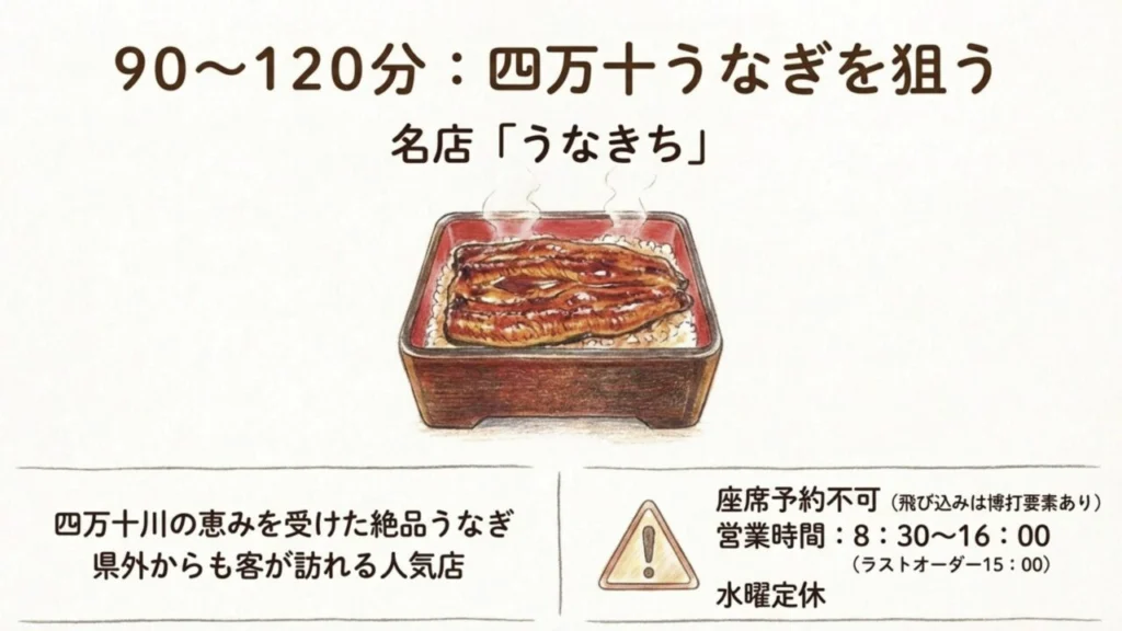四万十うなぎの名店うなきちのうな重