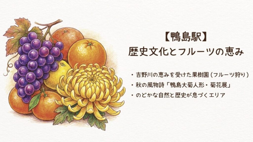 果樹園や菊人形が有名な鴨島駅