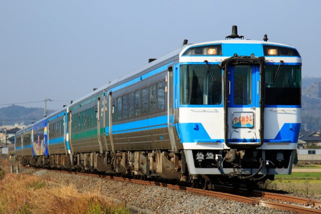 特急やくおうじ号2027|正月の運転日・時刻・停車駅と薬王寺への行き方 1 特急やくおうじ号2027の運転日