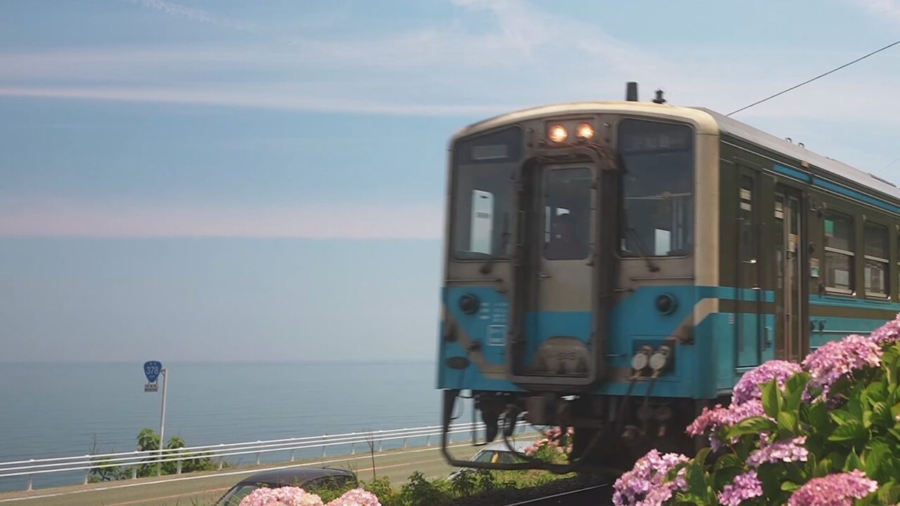 伊予灘を背景にアジサイのそばを走る普通列車